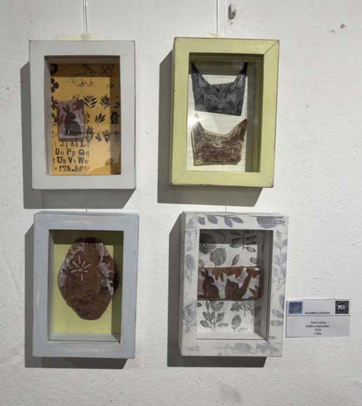 museo León Semperé